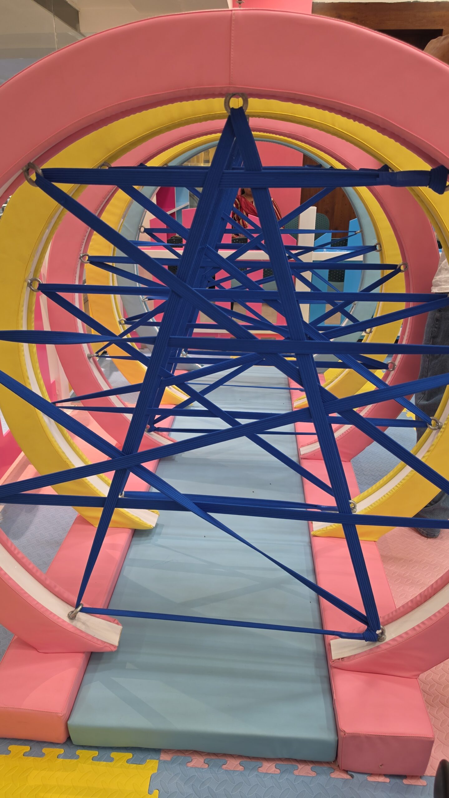 spioder web